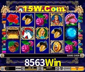 Login Seguro 8563Win